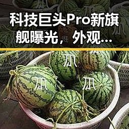 科技巨头Pro新旗舰曝光,外观革新引发热议!